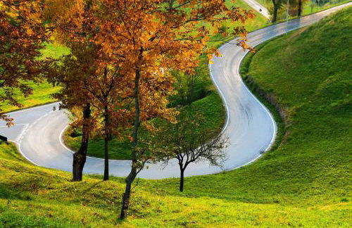 Ca' Viridi - Foto 35