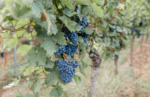 Brehm Living - Foto 15