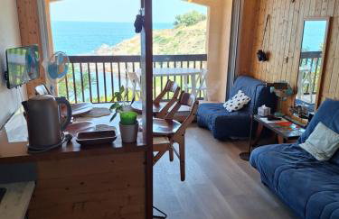 Appartement vue mer Port Vendres Collioure direct crique wifi - Photo 5