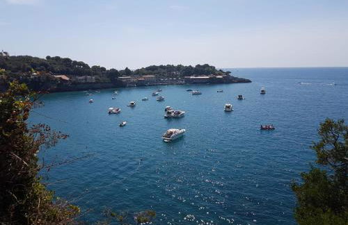 La Terrazza sul Golfo - Photo 19