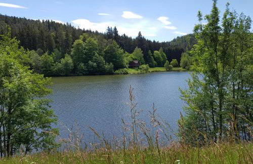 Ferienwohnungen Nibelungenwald - Foto 23