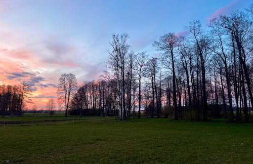 Mirabelka - domek - Foto 13