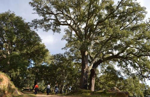 Casa Rural Ahoraya - Foto 70