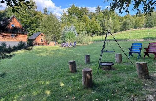 Chata Piechówka - gorąca balia i widok na góry - Foto 30