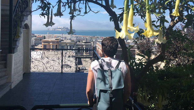 Visite des points de vue et des collines de San Francisco - Photo 2