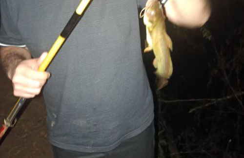 Casa de Campo Refúgio Jaguary - Foto 38