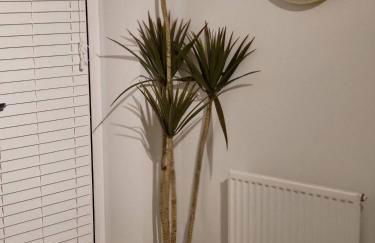 Home Like Yours In Grays, Essex - Foto 9