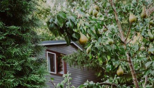 Holiday Home by Lake Klepnicko With Pier - Foto 3