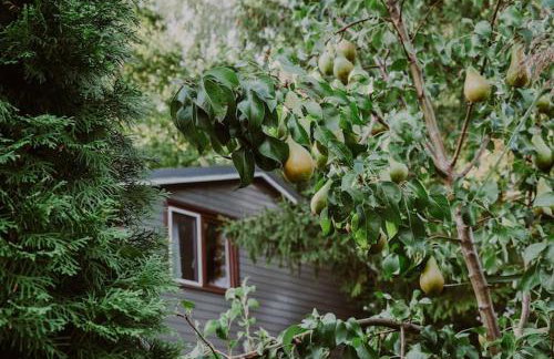 Scandinavian house overlooking the lake - Foto 27