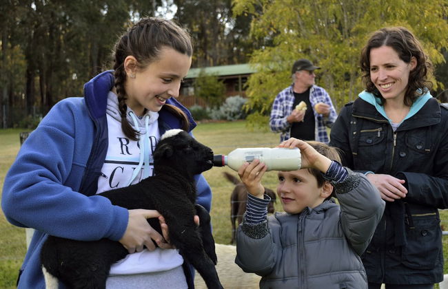 Diamond Forest Farm Stay - Foto 35