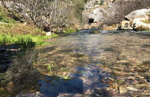 Casa Rural las Rosas de Benaojan - Photo 59