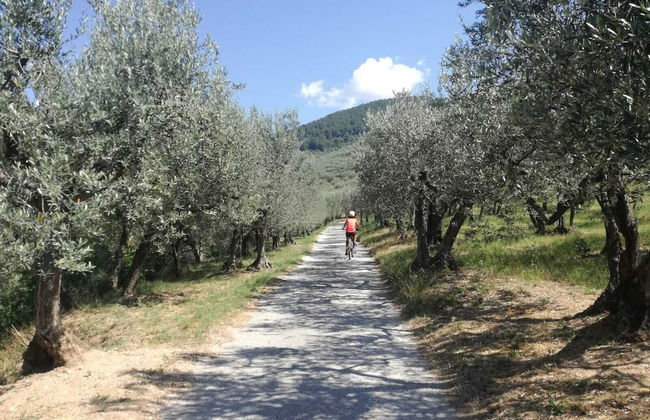 Il Fienile di Assisi - Foto 35