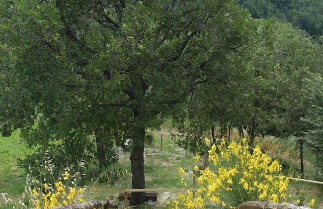 Agriturismo Il Boschetto - Photo 25