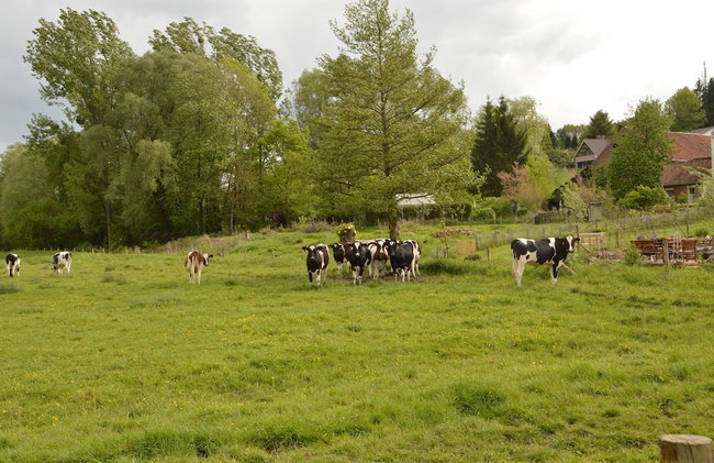 Comfy Holiday Home near Forest in Slenaken - Foto 38