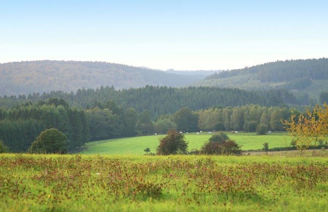 Spacious Family Home, Sosoye - Foto 62