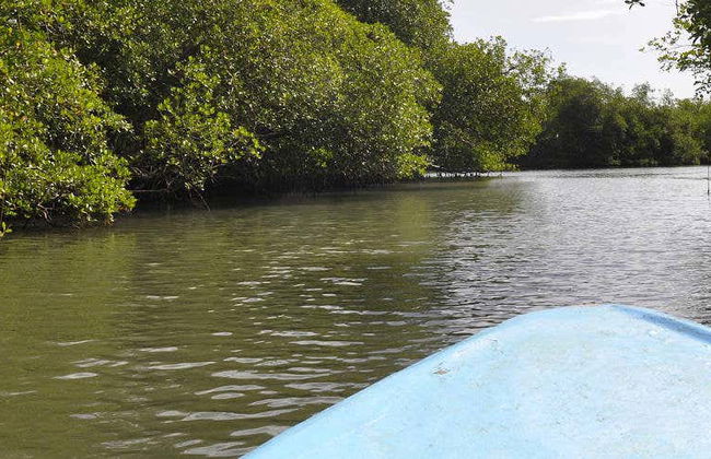 Tres Palos Lagoon Day Trip - Photo 1