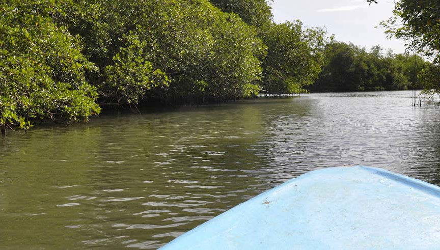 Excursion à la lagune de Tres Palos