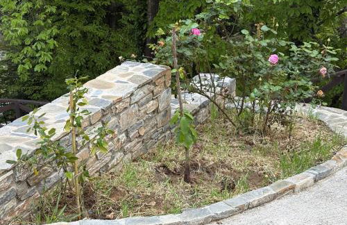 Pelion 7 Lives - Foto 16