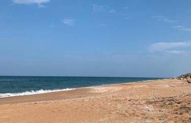 Ormond Beach, fun & loving sun! - Photo 36