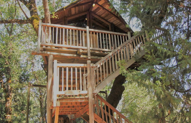 Out 'N' About Treehouse Treesort - Foto 12