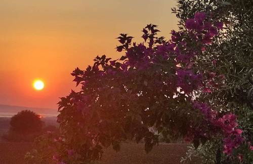 La Bouganvillea - Foto 17