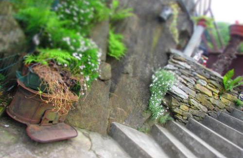 Casa Vacanza PIZZO CAMINO - Foto 9