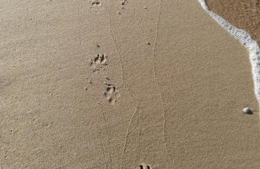 Ferienhaus Sieroslaw polnische Ostsee mit Kamin - Photo 48