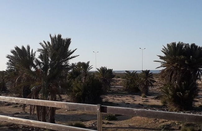 Bella Djerba - Foto 25