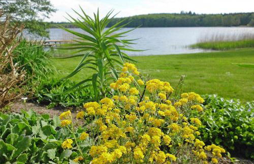 Bungalow in Klein Labenz for 4 Personen - Photo 18