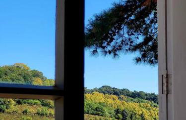 Casa da Vó Hospedagem Afetiva - Foto 27