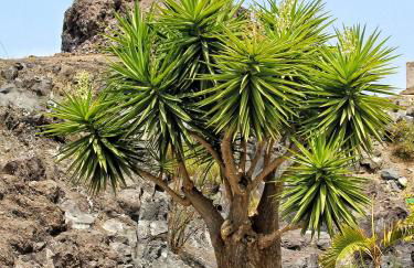 FINCA BEROLO 1 - Foto 40