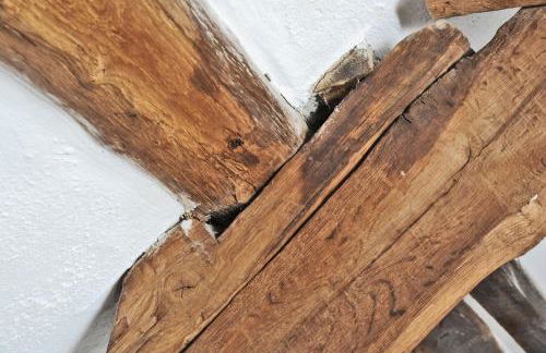 Treleddyn Farmhouse - Photo 19