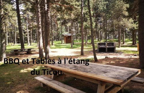 Apt confortable au pied des pistes et de la forêt - Foto 62