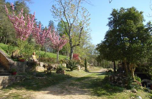 Studio aux Eyzies au coeur de la vallée de l'homme - Photo 10