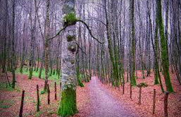 Casa Batit - Foto 26