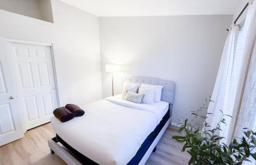 Cactus Bonito - Foto 6