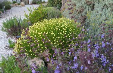 Finca Las Morenas - Foto 54