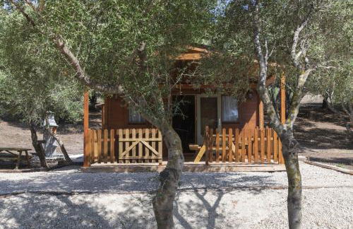 Finca Florida - Foto 7