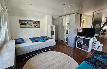 Loftwohnung in ruhiger Gegend - Foto 18