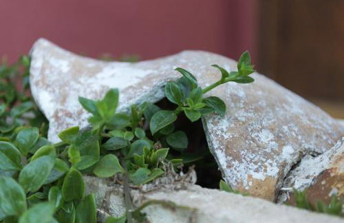 Apartments Vitorin - Foto 13