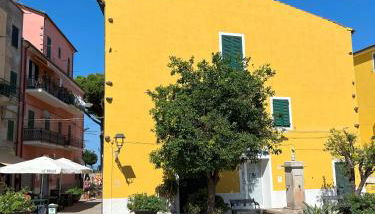 Via Scappini - Foto 2