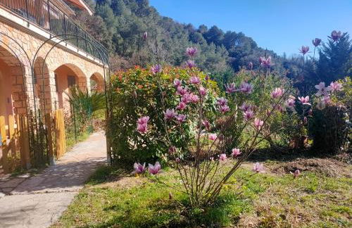 Un brin de paille - Foto 17