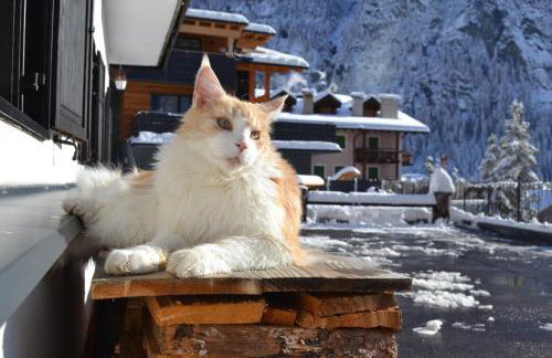 Cesa Prinoth - Foto 32