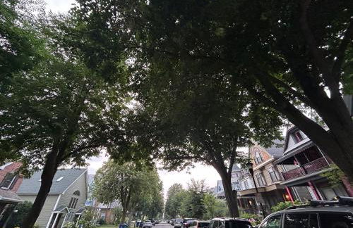 Historic & Spacious 3 Bedroom Family Gem on Peaceful Street - Foto 9