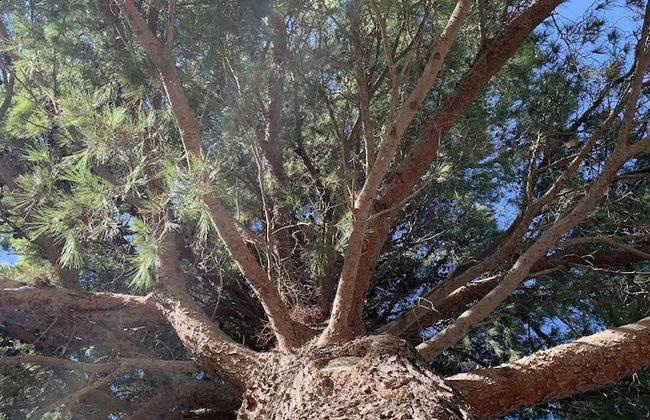 Villa Santa Margherita - Foto 37