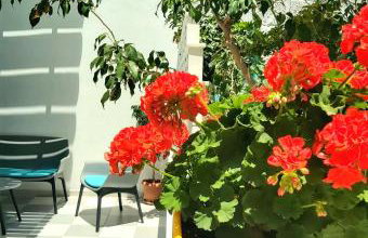 Nostalgia Retro Suites - Foto 38