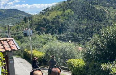 Baita Chalet del Colle - Foto 12