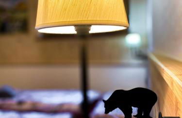 Cèsa Prinoth - Foto 47