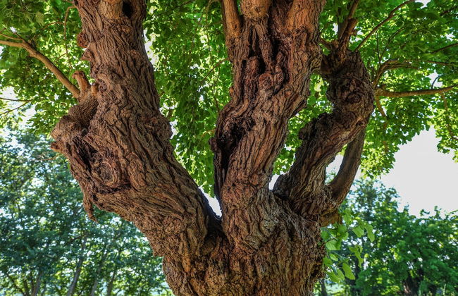 Casale Talevi - Foto 31