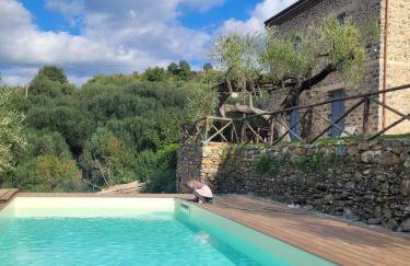 Villa con piscina nel Cilento Casolare Cento Ulivi Luxury & Charme - Foto 6